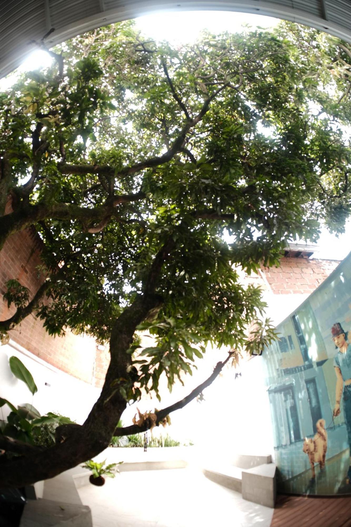 Parceros House